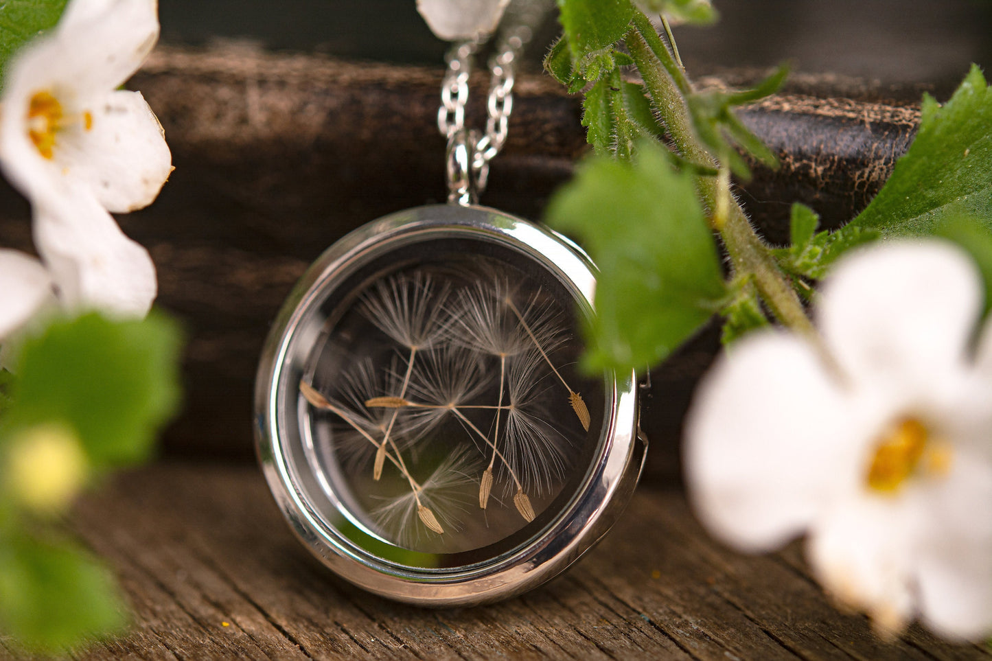 Dandelion Seed Necklace, Dandelion Jewelry for Her, Floating Locket Amulet, Pendant for Women, Anniversary or Birthday Gift For Her, KP.1
