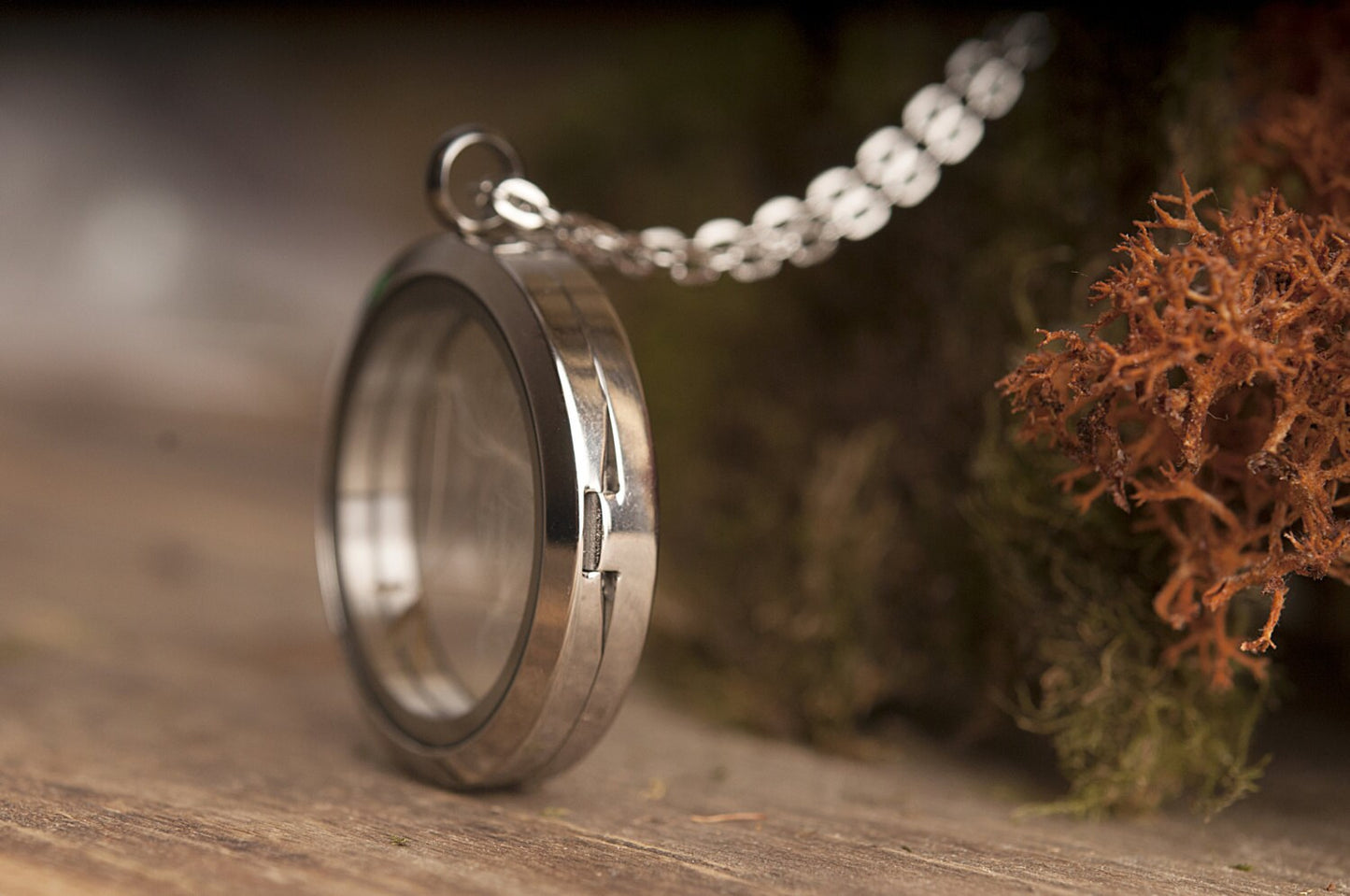 Dandelion Seed Necklace, Dandelion Jewelry for Her, Floating Locket Amulet, Pendant for Women, Anniversary or Birthday Gift For Her, KP.1